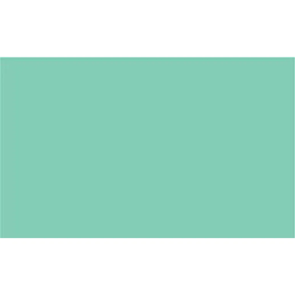 2005219 Cricut Premium Vinyl perm 30x120cm (Pastel Green) - Image 2