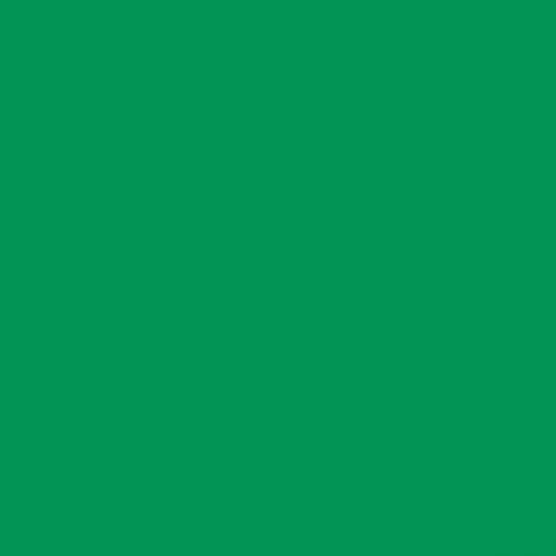 2008638 - Cricut Smart Vinyl Removable 33x91cm 1 sheet (Grass)