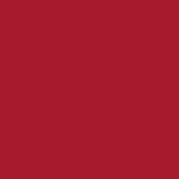 2008646 Cricut Smart Vinyl Removable 33X91Cm 1 Sheet (Red)