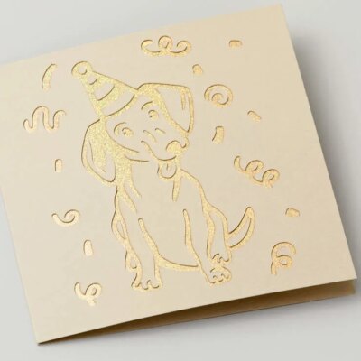 2009484 - Cricut Cut-Away Cards Pastel S40 (121 Cm X 121 Cm) 14-Pack