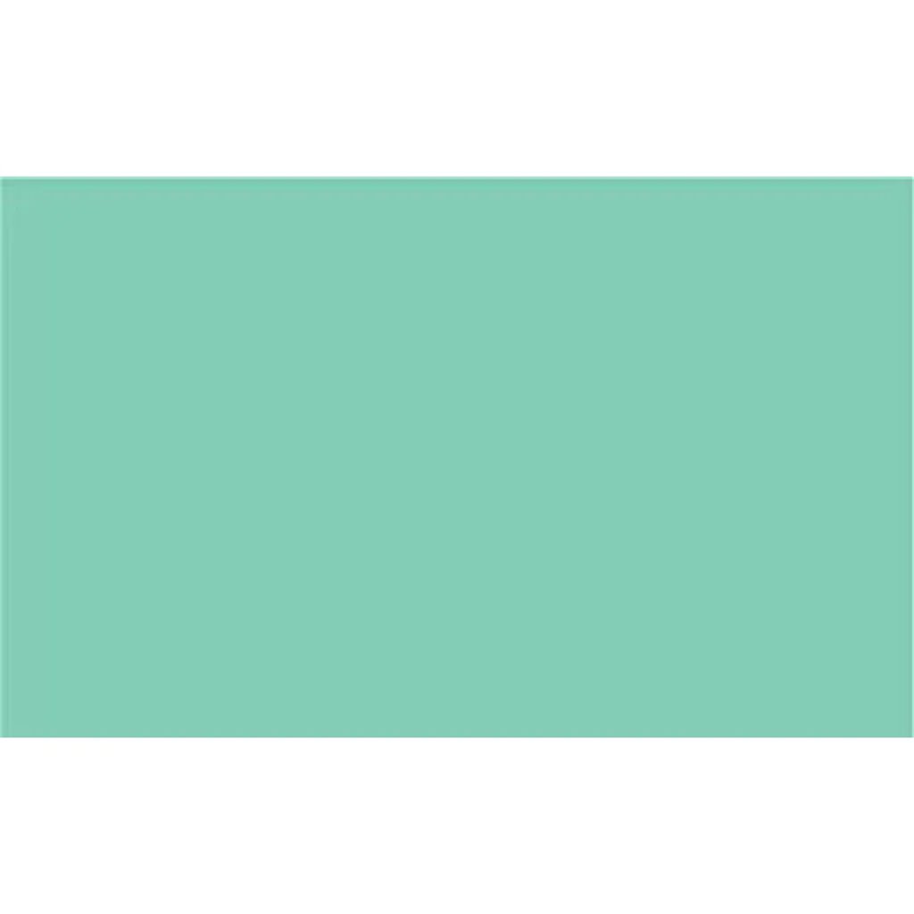2005219 Cricut Premium Vinyl perm 30x120cm (Pastel Green)