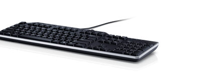 US/EURO (QWERTY) DELL KB-522 WIRED BUSIN