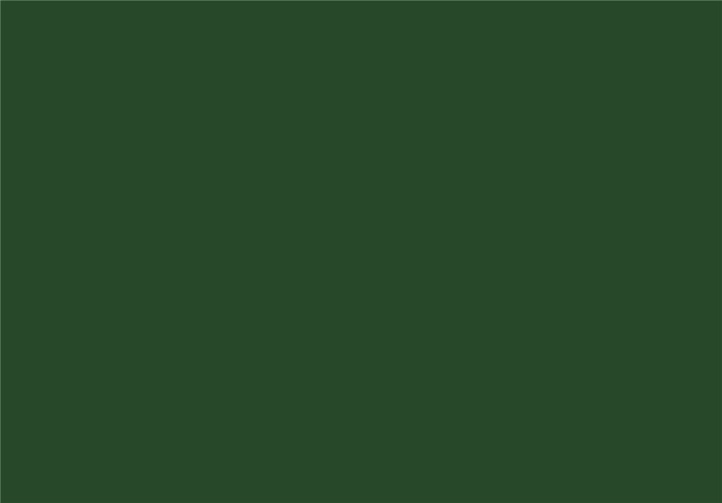 2005144 Cricut Premium Vinyl Removable 30.5 cm x 122 cm (Forest Green)
