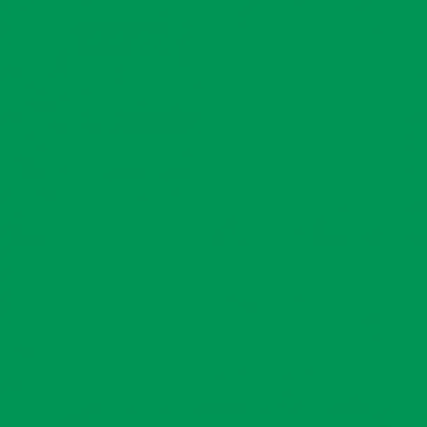 2008623 - Cricut Smart Vinyl Permanent 33x91cm 1 sheet (Grass)