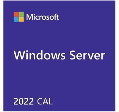 DELL MICROSOFT WS 2022 50CALS USER