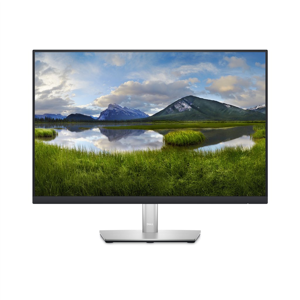 DELL P2423 24IN MONITOR
