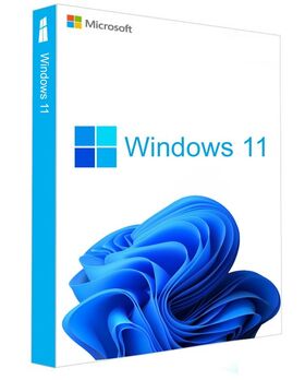 MICROSOFT WINDOWS11 HOME - FPP 64-BIT USB